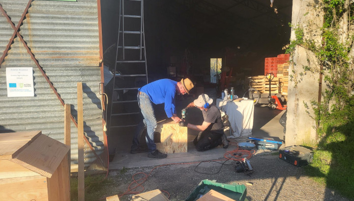 Installez des nichoirs à nos côtés !